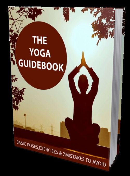 Product picture The Yoga Guidebook